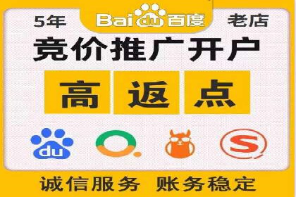 SEM推广实战：案例解析与策略探讨